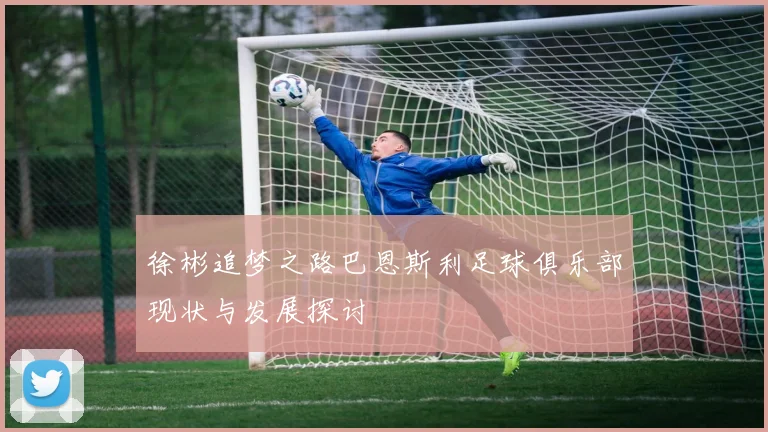 徐彬追梦之路巴恩斯利足球俱乐部现状与发展探讨