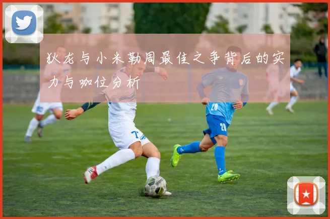 狄龙与小米勒周最佳之争背后的实力与咖位分析